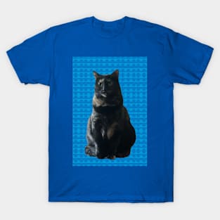 Sweet Kitty on Blue T-Shirt